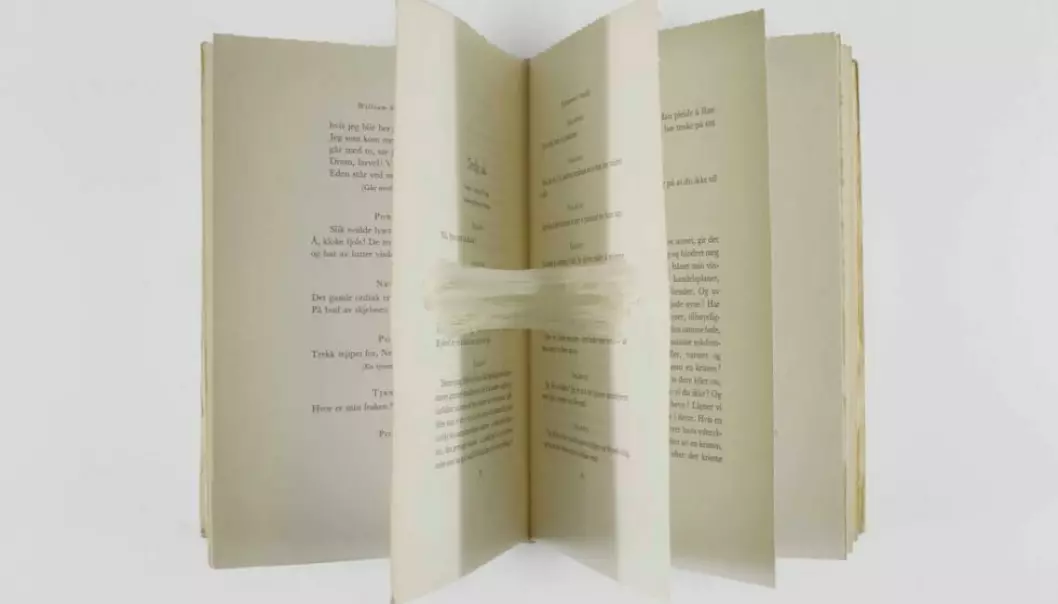 Katharina Barbosas fotografier er visuelle lesninger av hvert enkelt dikt i Hans Petter Blads diktsamling Biblioteket. Bildene kan således ses på som en gjendiktning. Resultatet ble en utstilling vist på biblioteker i Oslo om omegn. Fotografier: Katharina Barbosa.