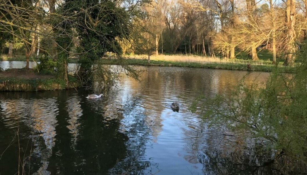 Elva Cam i Cambridge Elva Cam i Cambridge