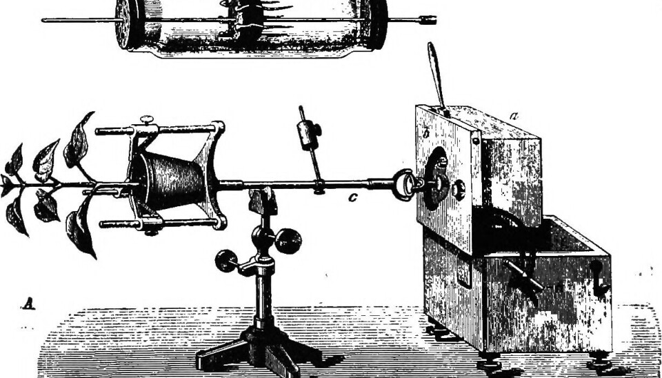 Pfeffers klinostat, et redskap som undersøker virkningen av gravitasjon og lys på planter.